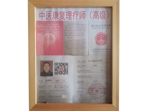 中医康复理疗师   高级